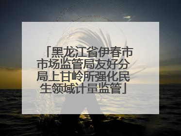 黑龙江省伊春市市场监管局友好分局上甘岭所强化民生领域计量监管
